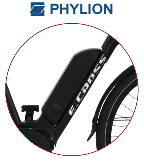 phylion